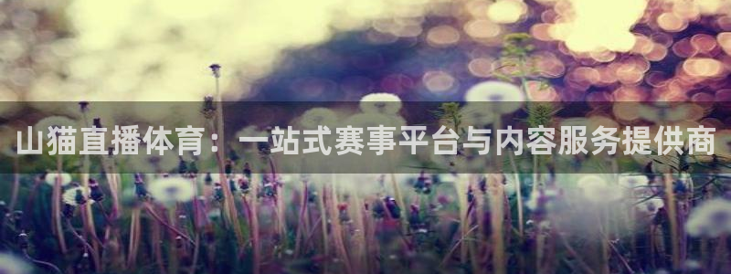 山猫直播体育：一站式赛事平台与内容服务提供商