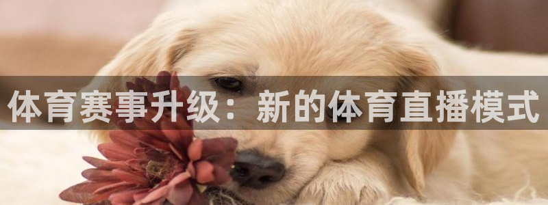体育赛事升级：新的体育直播模式