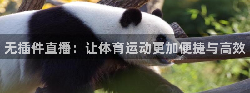 无插件直播：让体育运动更加便捷与高效