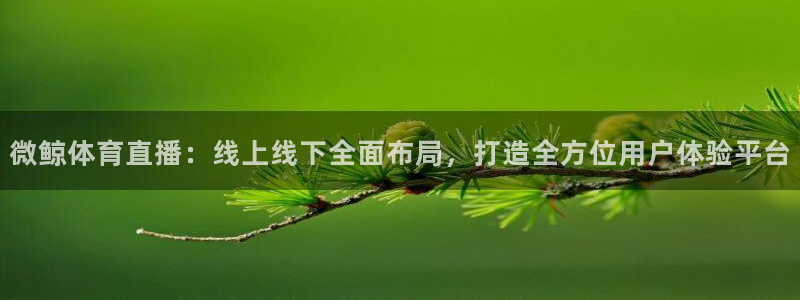 微鲸体育直播：线上线下全面布局，打造全方位用户体验平台