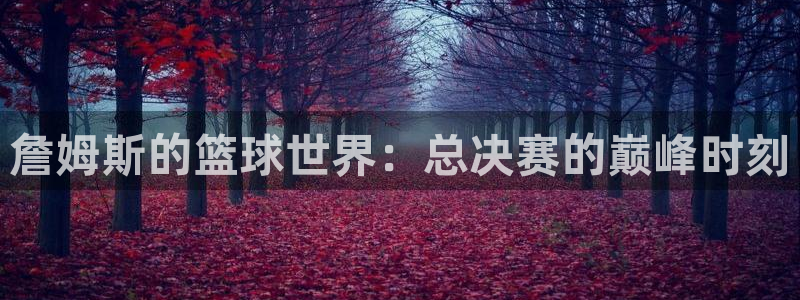 詹姆斯的篮球世界：总决赛的巅峰时刻