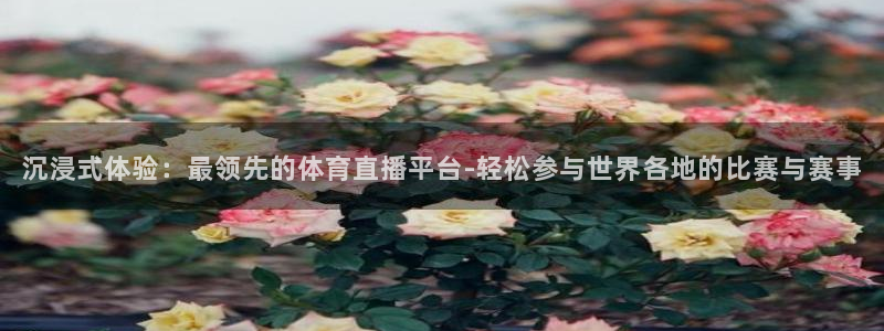 沉浸式体验：最领先的体育直播平台-轻松参与世界各地的比赛与赛事