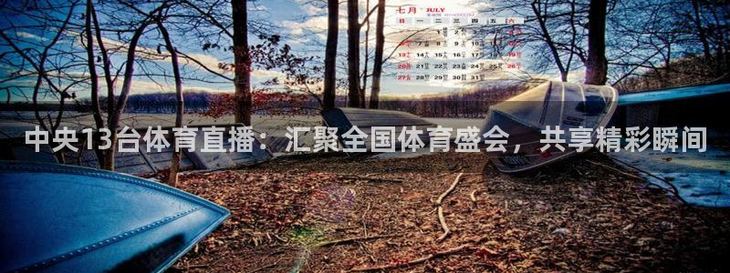 中央13台体育直播：汇聚全国体育盛会，共享精彩瞬间
