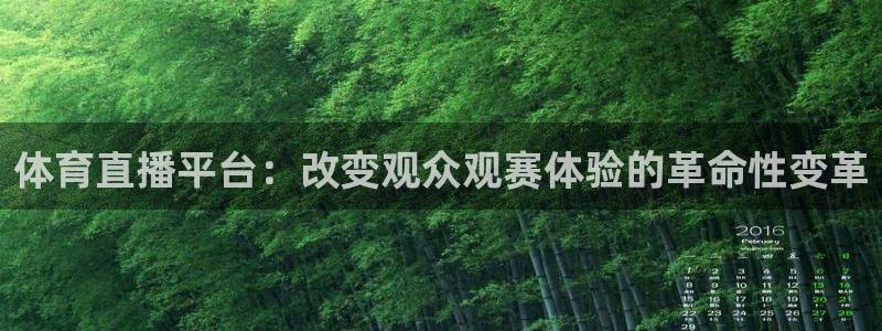 体育直播平台：改变观众观赛体验的革命性变革