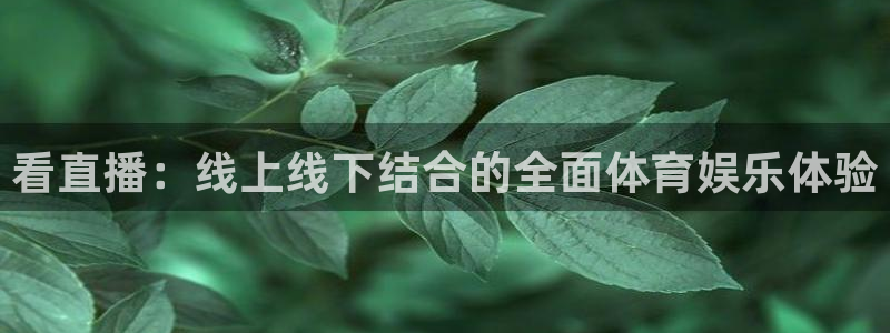 看直播：线上线下结合的全面体育娱乐体验
