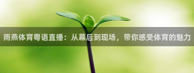 雨燕体育粤语直播：从幕后到现场，带你感受体育的魅力