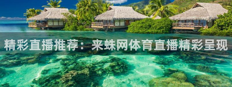 精彩直播推荐：来蛛网体育直播精彩呈现