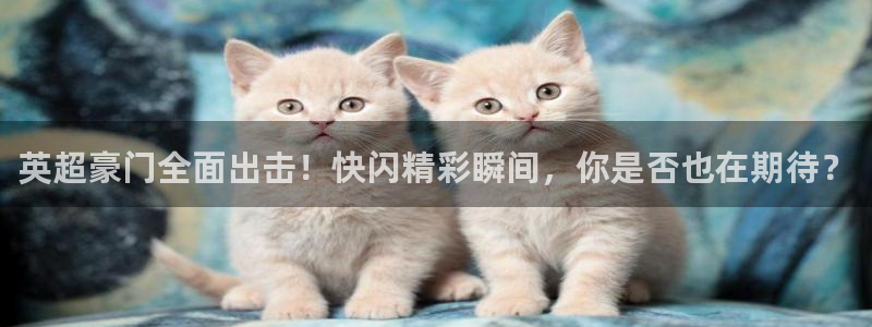 英超豪门全面出击！快闪精彩瞬间，你是否也在期待？