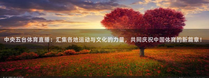 中央五台体育直播：汇集各地运动与文化的力量，共同庆祝中国体育的新篇章！