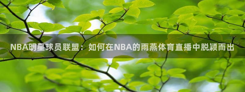 NBA明星球员联盟：如何在NBA的雨燕体育直播中脱颖而出