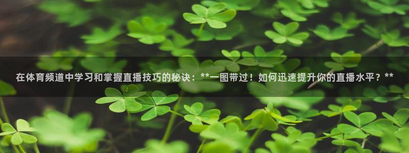 在体育频道中学习和掌握直播技巧的秘诀：**一图带过！如何迅速提升你的直播水平？**