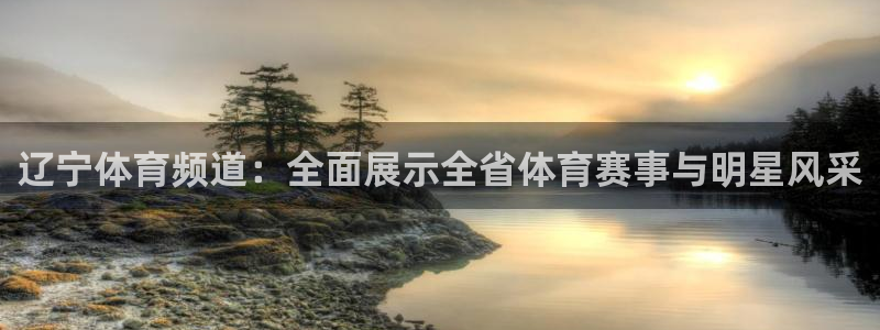 辽宁体育频道：全面展示全省体育赛事与明星风采