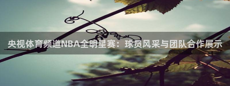 央视体育频道NBA全明星赛：球员风采与团队合作展示