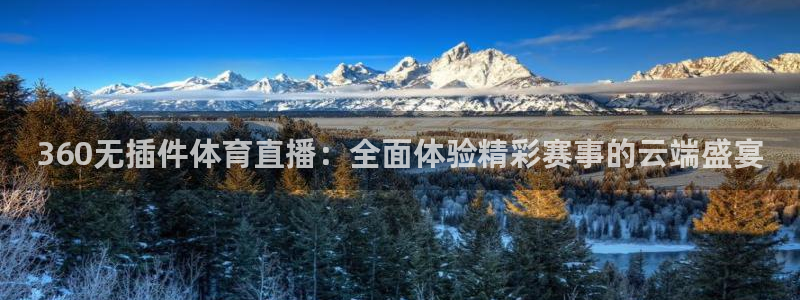 360无插件体育直播：全面体验精彩赛事的云端盛宴