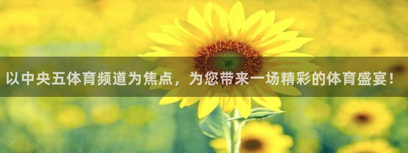 以中央五体育频道为焦点，为您带来一场精彩的体育盛宴！