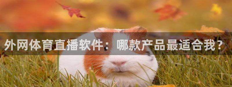 外网体育直播软件：哪款产品最适合我？