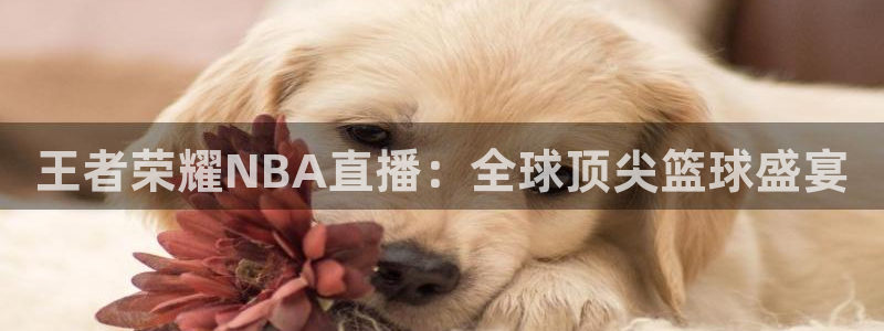 王者荣耀NBA直播：全球顶尖篮球盛宴