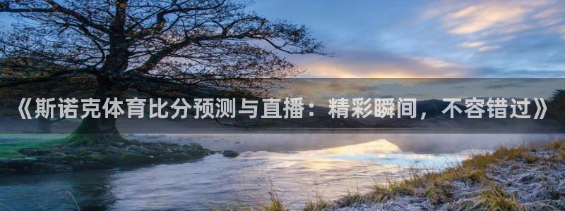 《斯诺克体育比分预测与直播：精彩瞬间，不容错过》
