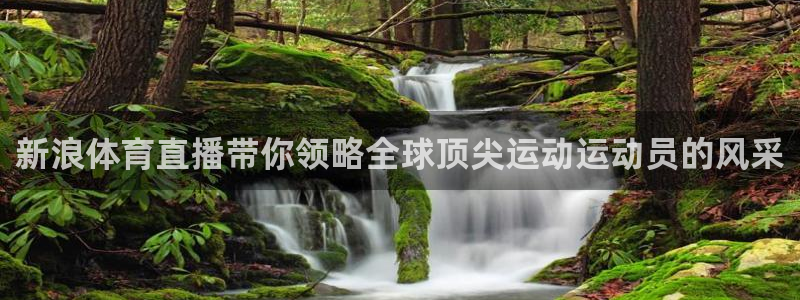 新浪体育直播带你领略全球顶尖运动运动员的风采