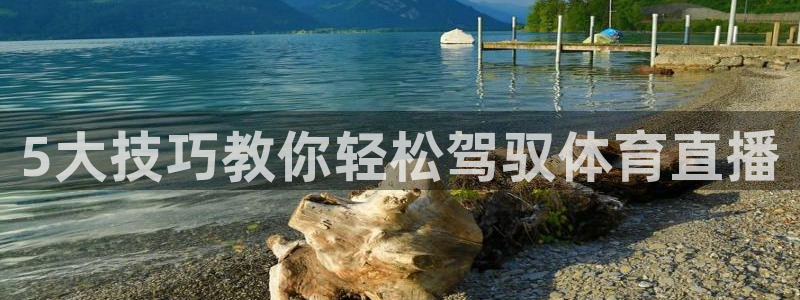 5大技巧教你轻松驾驭体育直播
