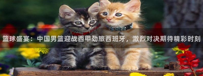 篮球盛宴：中国男篮迎战西甲劲旅西班牙，激烈对决期待精彩时刻