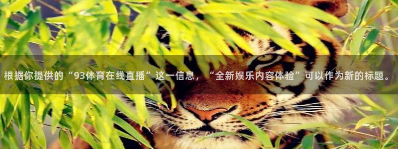 根据你提供的“93体育在线直播”这一信息，“全新娱乐内容体验”可以作为新的标题。