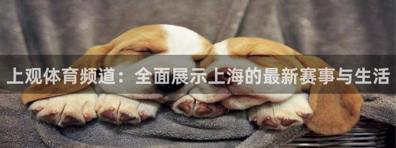 上观体育频道：全面展示上海的最新赛事与生活