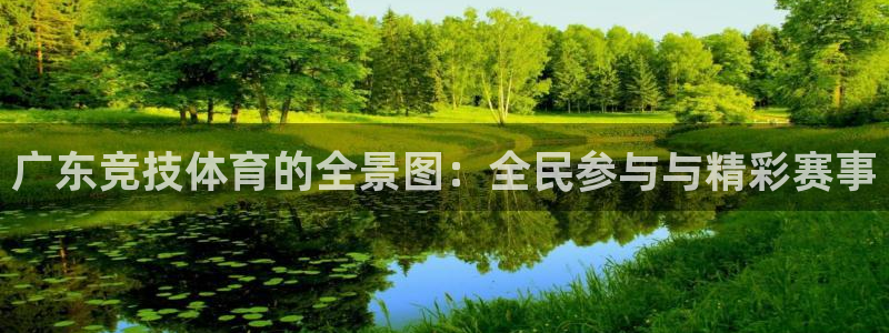 广东竞技体育的全景图：全民参与与精彩赛事