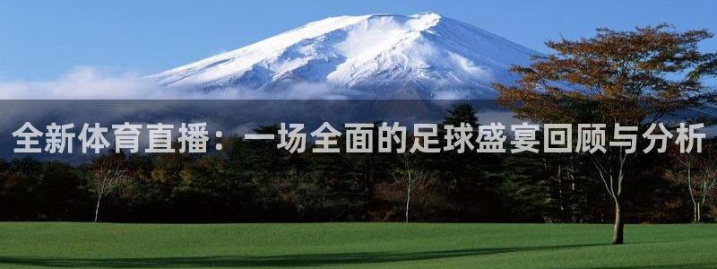 全新体育直播：一场全面的足球盛宴回顾与分析