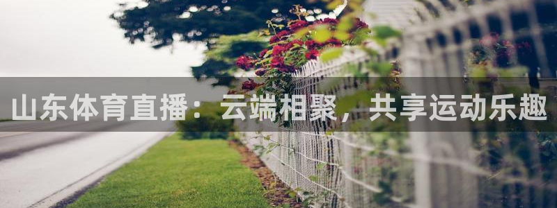 山东体育直播：云端相聚，共享运动乐趣