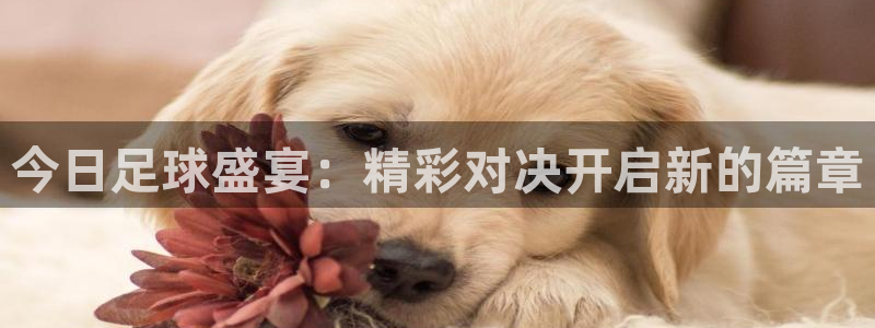 今日足球盛宴：精彩对决开启新的篇章