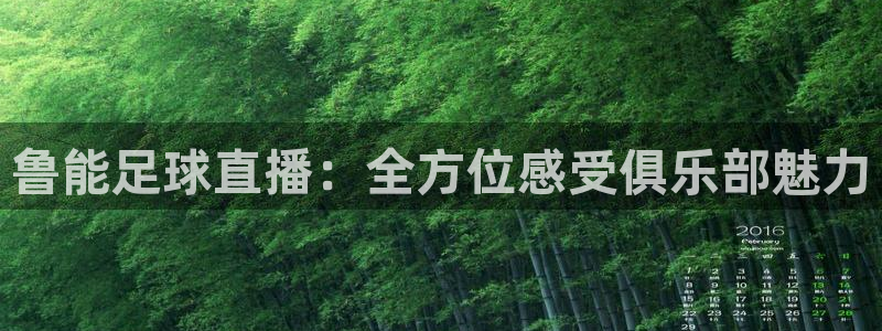 鲁能足球直播：全方位感受俱乐部魅力
