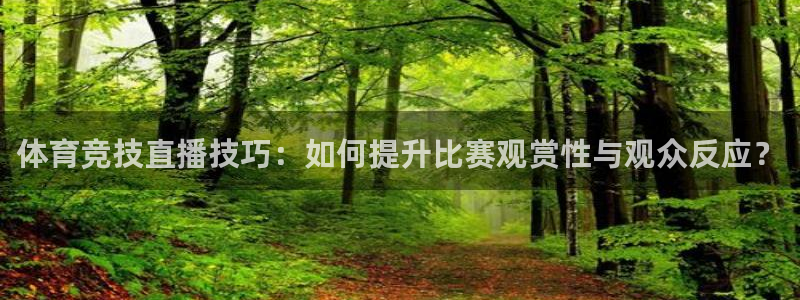 体育竞技直播技巧：如何提升比赛观赏性与观众反应？