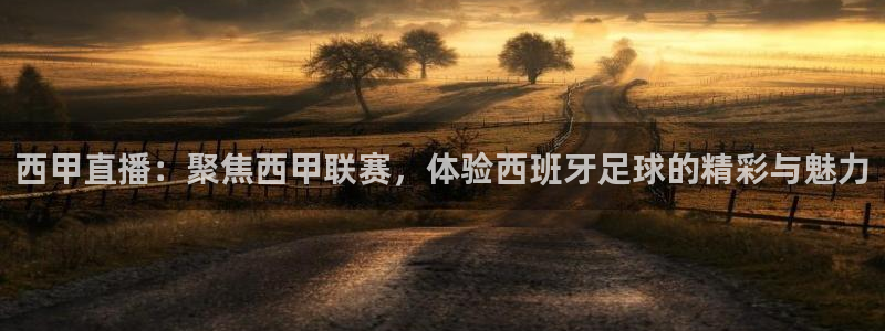 西甲直播：聚焦西甲联赛，体验西班牙足球的精彩与魅力
